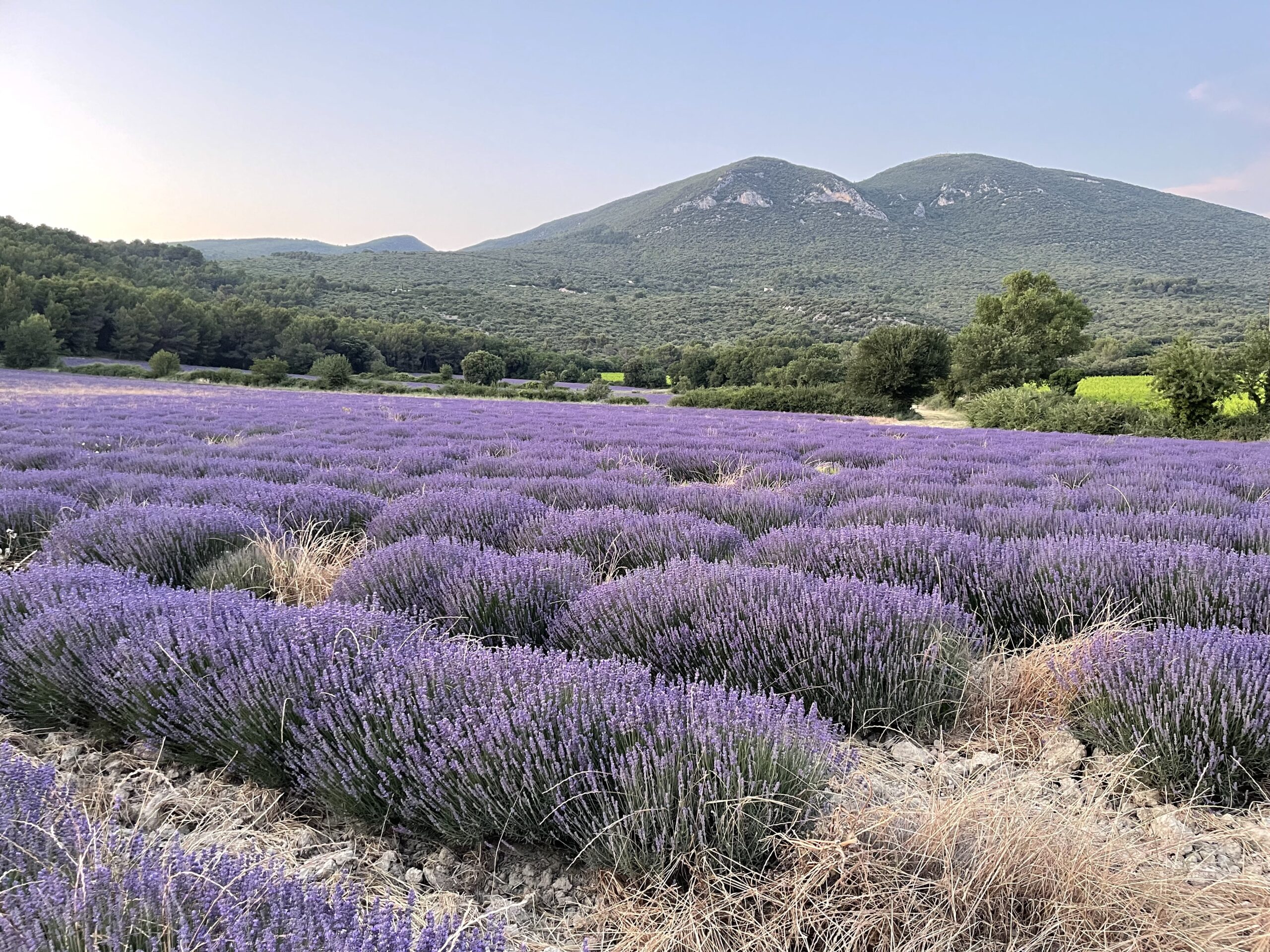 Roadtrip durch Provence und Côte d’Azur